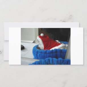 Snuggler is Santa Paws Holiday Card