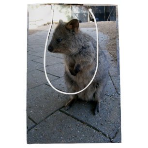 "Snuggles in Australia: A Cuddly Gray Quokka" Medium Gift Bag