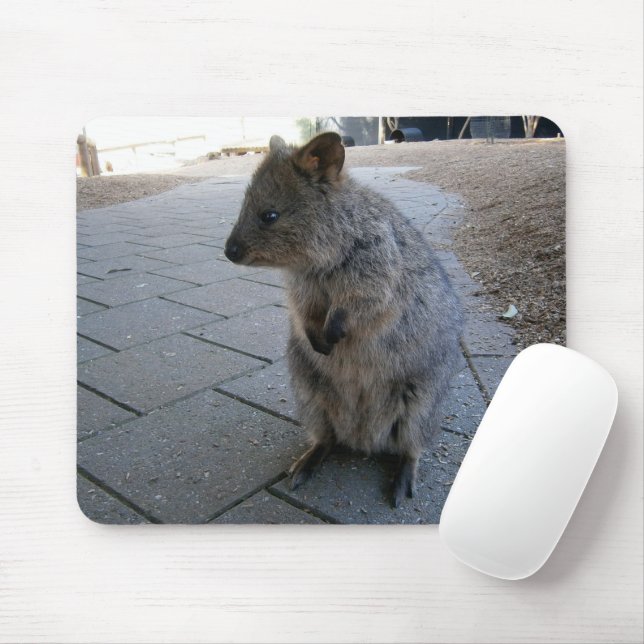 "Snuggles in Australia: A Cuddly Gray Quokka" Mouse Mat (With Mouse)