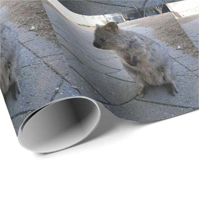"Snuggles in Australia: A Cuddly Gray Quokka" Wrapping Paper (Roll Corner)