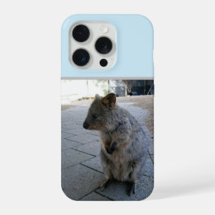 "Snuggles in Australia: A Cuddly Grey Quokka" iPhone 15 Pro Case