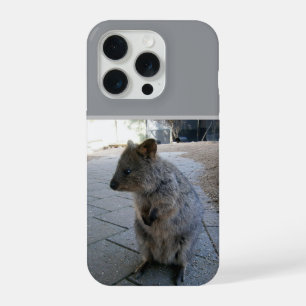 "Snuggles in Australia: A Cuddly Grey Quokka" iPhone 15 Pro Case