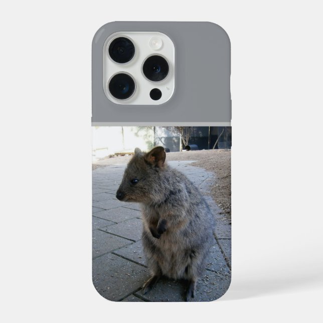 "Snuggles in Australia: A Cuddly Grey Quokka" iPhone Case (Back)