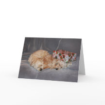 Snuggling puppy Christmas card