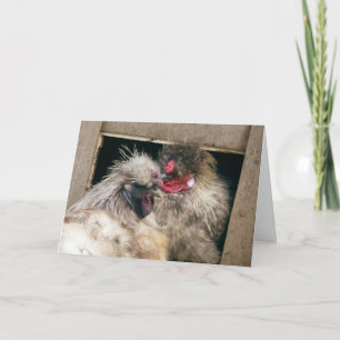 Snuggling Silkie Chickens Hens - Poultry Card