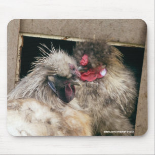 Snuggling Silkie Chickens Hens - Poultry Mousepad