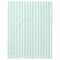 Snuggly Cute Mint Green and White Striped