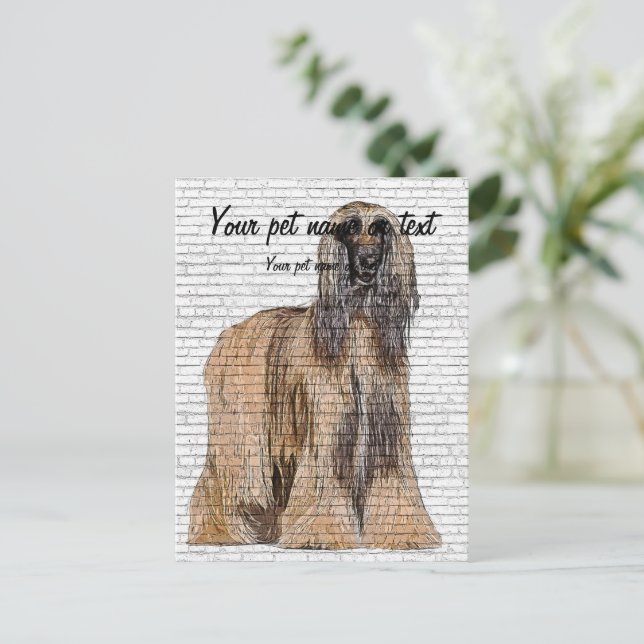 So Beautiful, Afghan Hound Dog Postcard (Standing Front)
