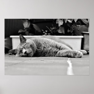 So bored... poster