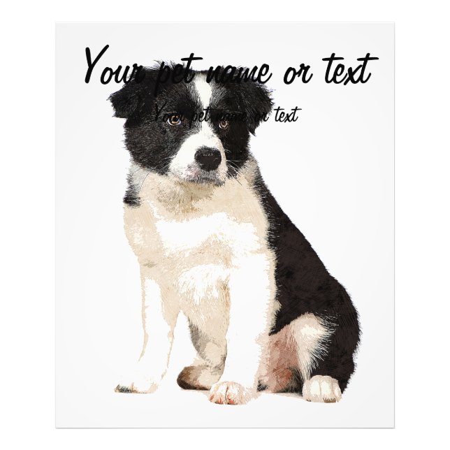 So Cute Border Collie Dog Puppy Photo Print (Front)