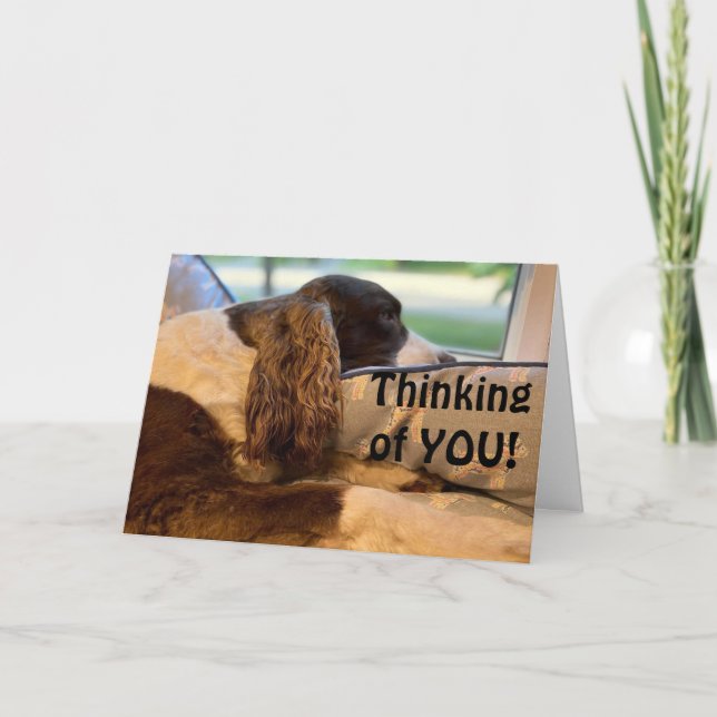 SO HAPPY AND WANT TO CONGRATULATE YOU CARD (Front)