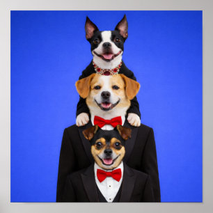 "So Happy Together" Poster