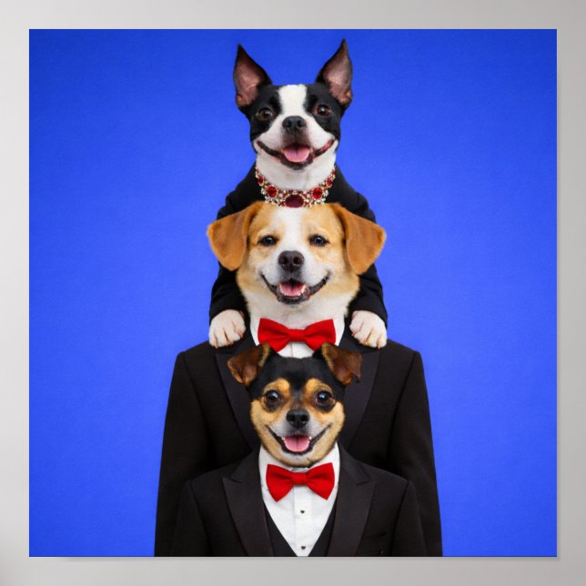 "So Happy Together" Poster (Front)