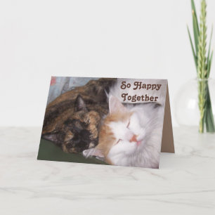 So Happy Together Two Content Cats Anniversary Card