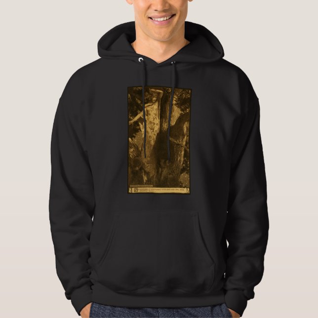 So haunted Moonlight Guardians of the Night Hoodie (Front)