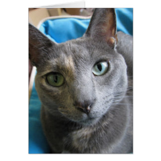 So, how have ya been?