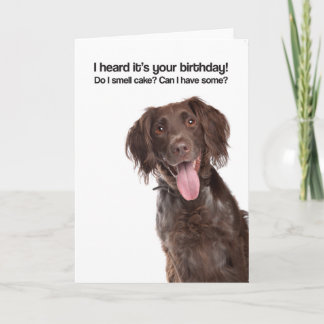 So I Smell Cake? Can I Have Some? (GWP) - Birthday Card