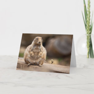 So I'm a Little Short for my Weight Card