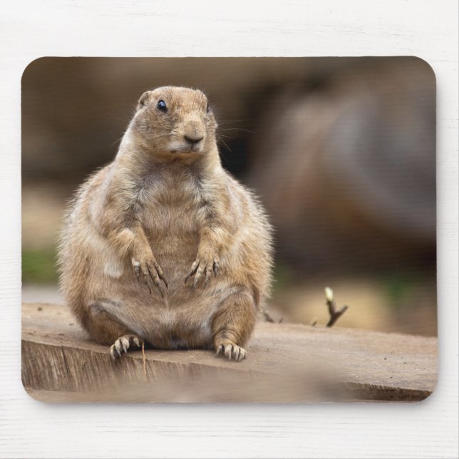 So I'm a Little Short for my Weight Mouse Mat (Front)