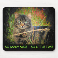 So Many Mice So Little Time