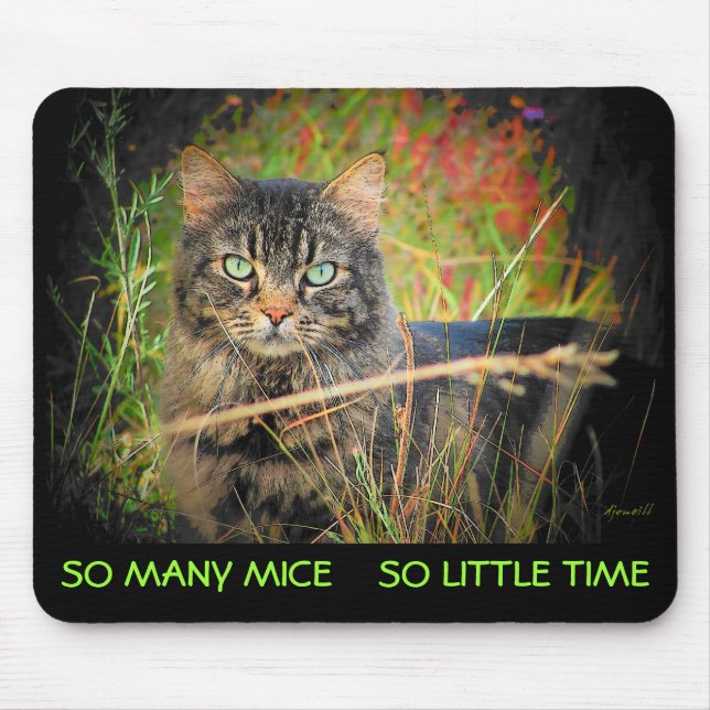 So Many Mice So Little Time Mouse Mat (Front)