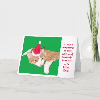 So many ornaments to play with so little time holiday card