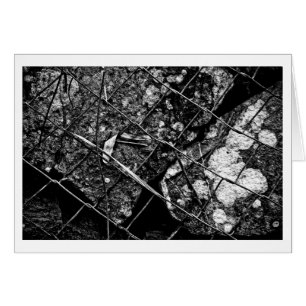 so much for tomorrow