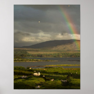 So much Ireland Poster
