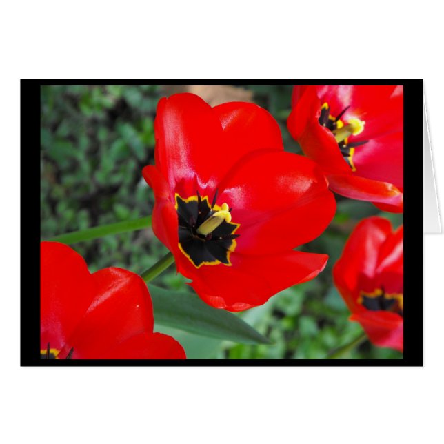 So ready for Spring~1 (Front Horizontal)