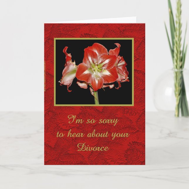 So Sorry . . . Divorce Card (Front)