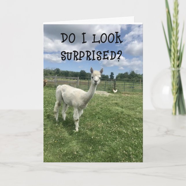 *SO SURPRISED **20th** BIRTHDAY!!!!* Card (Front)