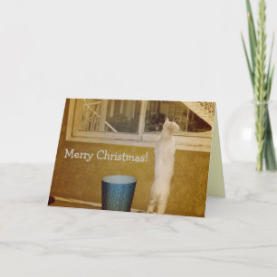 So Sweet Christmas Card! Holiday Card