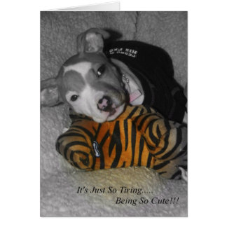 So Tiring Being So Cute!