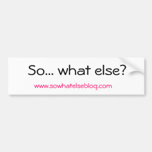 So... what else? bumper sticker