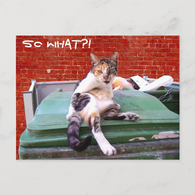 So what postcard (Front)