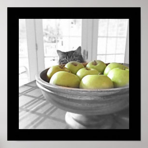 So What's for Dinner? Poster Print