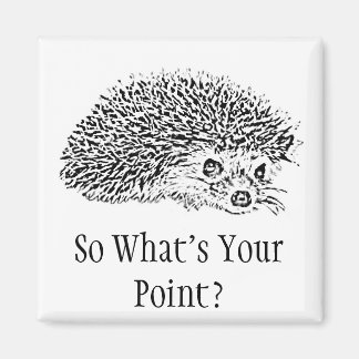 So What's Your Point? Magnet