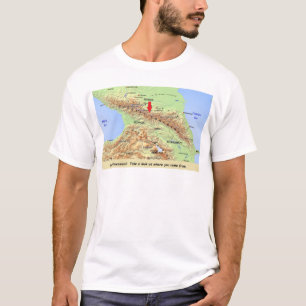 So...You Are Caucasian? T-Shirt