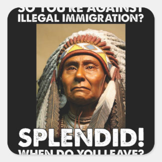 So You're Against illegal Immigration Splendid Nat Square Sticker