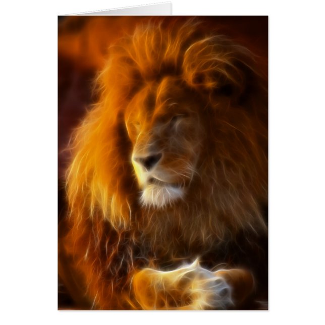 Soaking Up the Sun, King of the Jungle Lion II (Front)