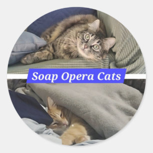 Soap Opera Cats Stickers
