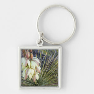 Soaptree Yucca Flowers In The Upper Missouri Key Ring