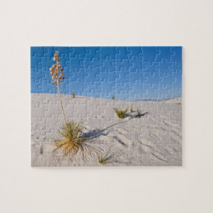 Soaptree Yucca, long Shadow, Transverse Dunes Jigsaw Puzzle