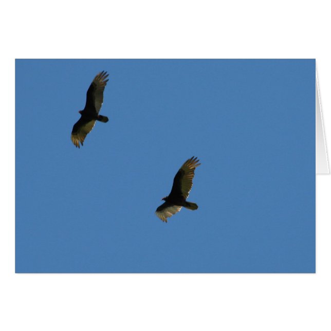 Soar (Front Horizontal)