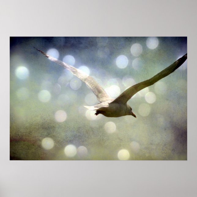 Soar 3 poster (Front)