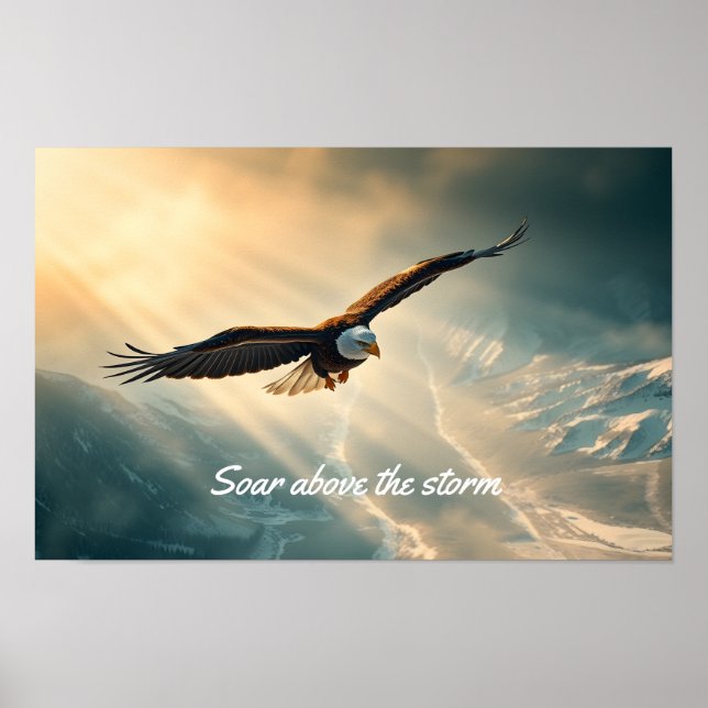 Soar above the storm | poster (Front)