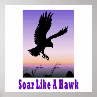 Soar like a Hawk Poster. Poster