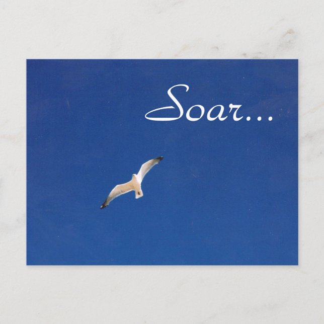 Soar Postcard (Front)