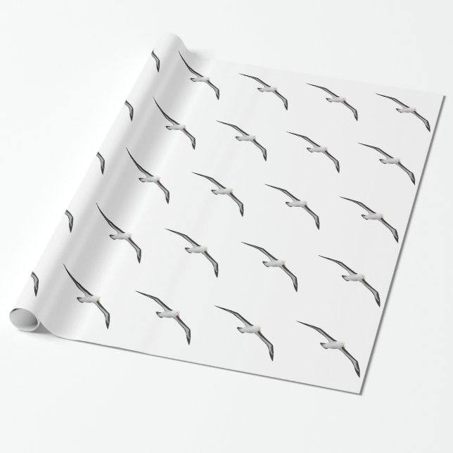 Soaring Albatross Bird Wrapping Paper (Unrolled)