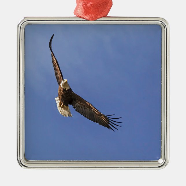 Soaring Bald Eagle Metal Tree Decoration (Front)